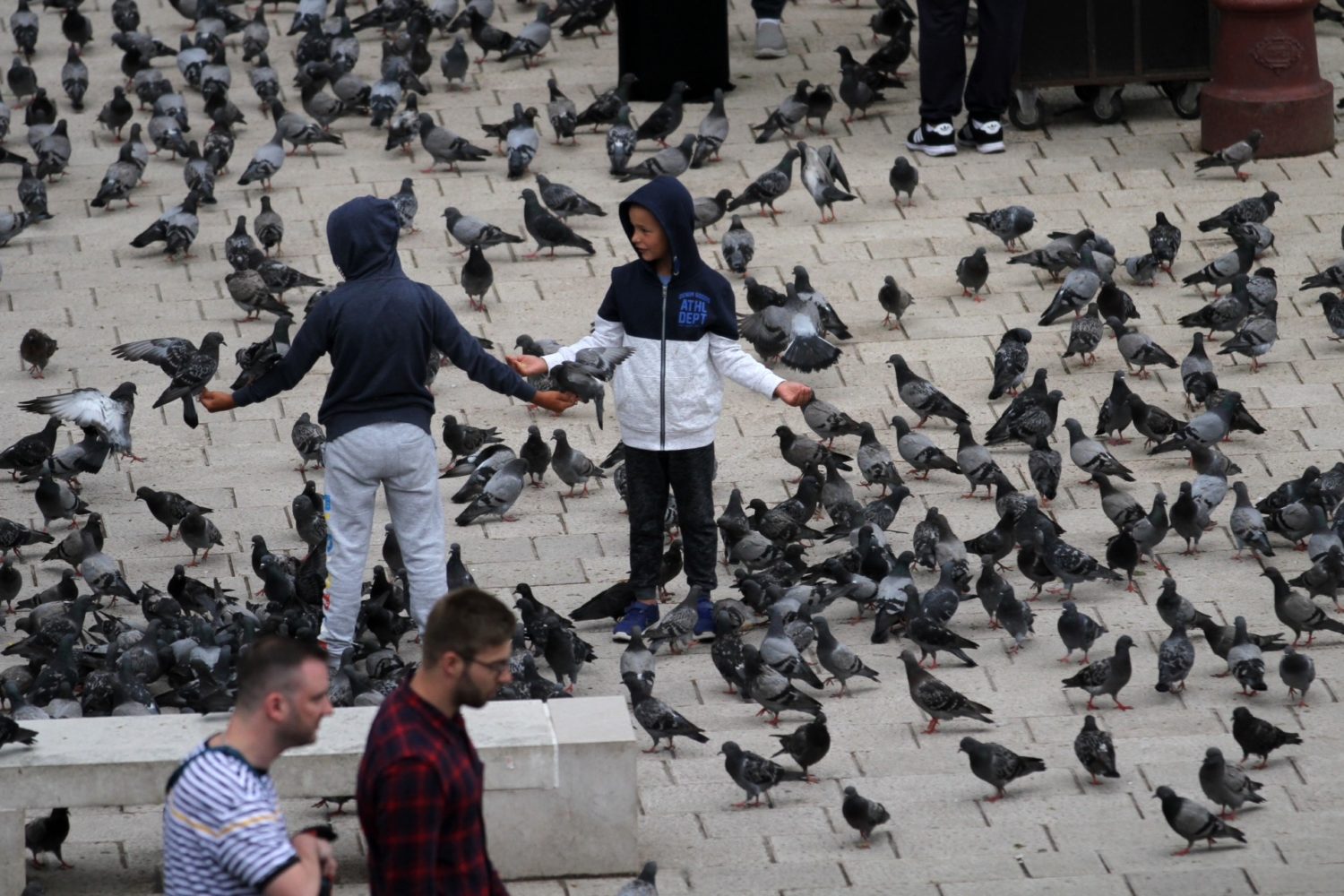 Two boys feeding pigeons in front of Sebilj fountain in Baščaršija, Sarajevo
