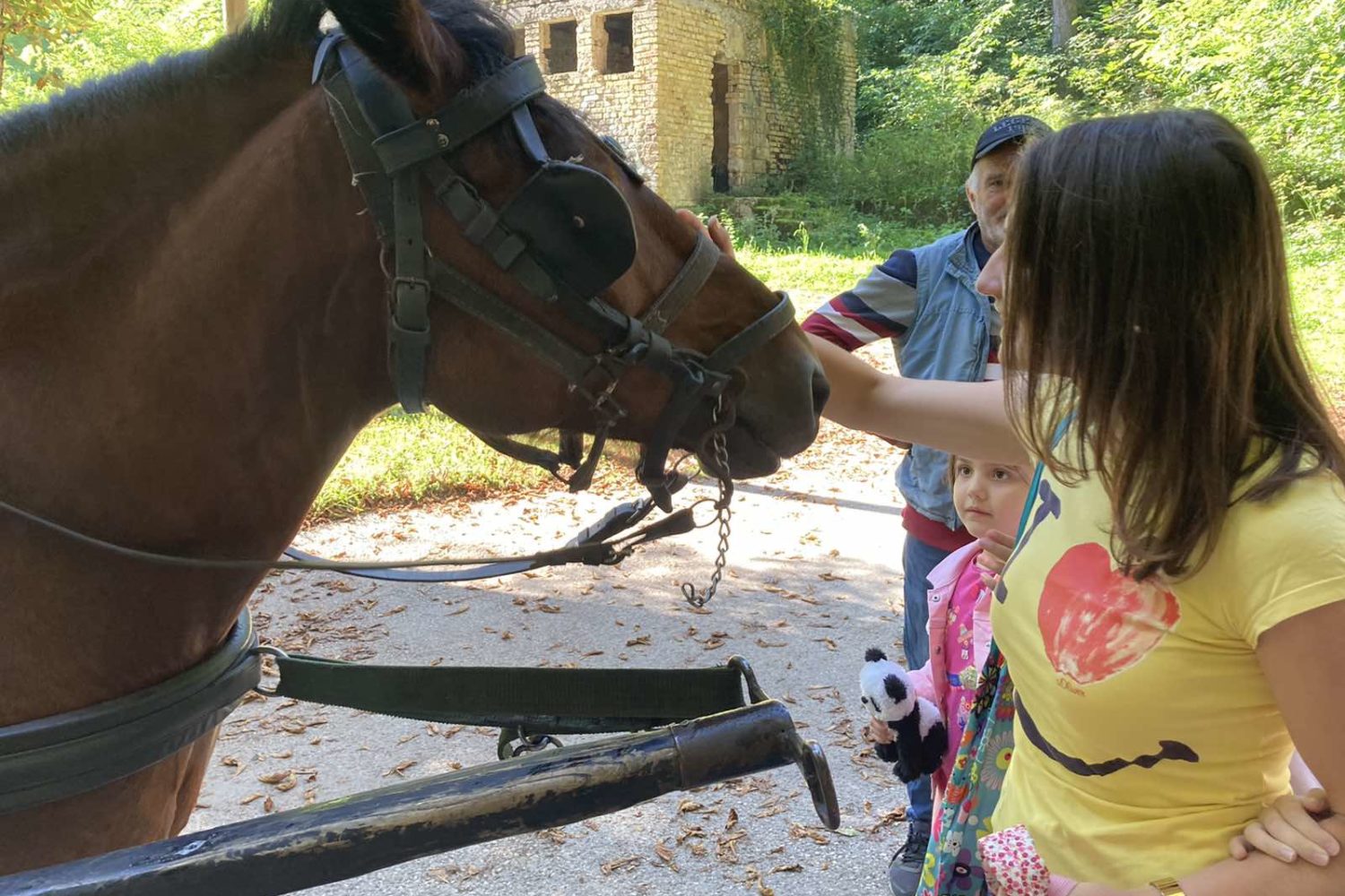Children interacting with a horse at Vrelo Bosne park